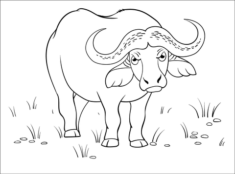 Buffalo From Cape Buffalo Coloring Page